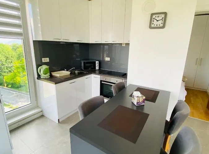 Ilidza River דירה *