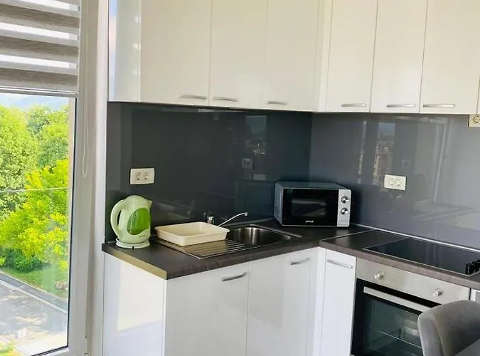 Ilidza River דירה *